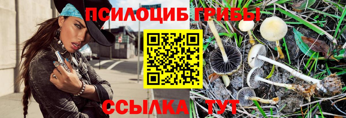 Галлюциногенные грибы прущие грибы Нерюнгри